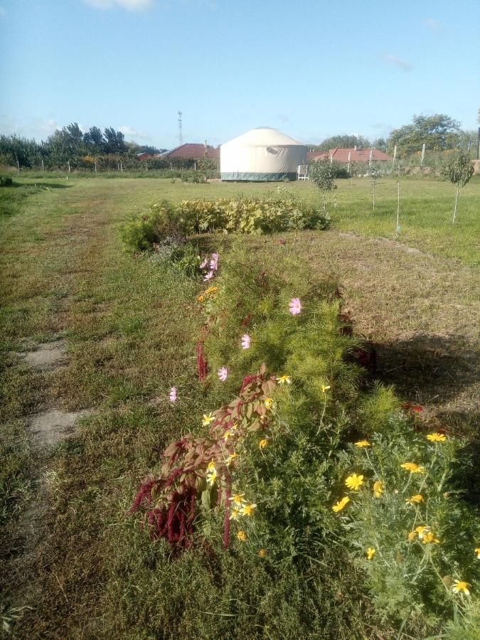 Jurtafarm Ráckeve - a nomád luxus Exterior foto